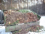 Dąbrowa  - 11.02.2012.