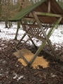 Dokarmianie - Zwola 20.02.2012.