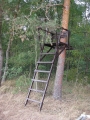 Nowe siedzisko na Polesiu - 27.09.2011.