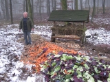 Dokarmianie. Polesie 18.12.2012.
