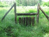 Drapałka - przejście dla dzików