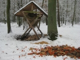 Powróciła zima. Zwola 19.02.2013.