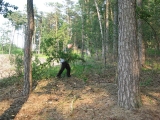Zwola - 18.06.2012 Zabiegi pielęgnacyjne w łowisku.