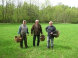 Zwola 07.05.2013 - kamienie wyzbierane