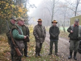 Dąbrowa 23.11.2013 - polowaie zbiorowe