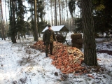Dokarmianie w obwodzie 320, rejon Zwola i Dąbrowa - 24.01.2014