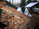 Dokarmianie w obwodzie 320, rejon Zwola i Dąbrowa - 24.01.2014