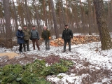 Mechlin 07.02.2015 - dokarmianie.