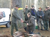 Polowanie zbiorowe Drapałka 28.11.2015 r.