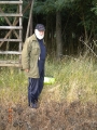 Szacowanie szkody łowieciej na łubinie