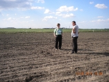 Szkoda 10.05.2016 r. Brzeziny