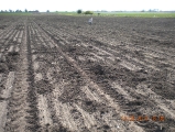 Szkoda 10.05.2016 r. Brzeziny
