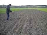 Szkody na ziemniakachh Dębice 24.04.2016