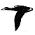 1 ges