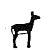 muflon owca