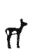 muflon jagnie